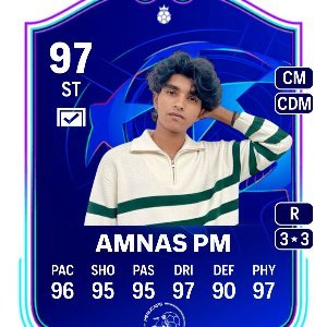 Amnas PM