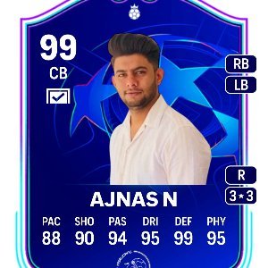 Ajnas N